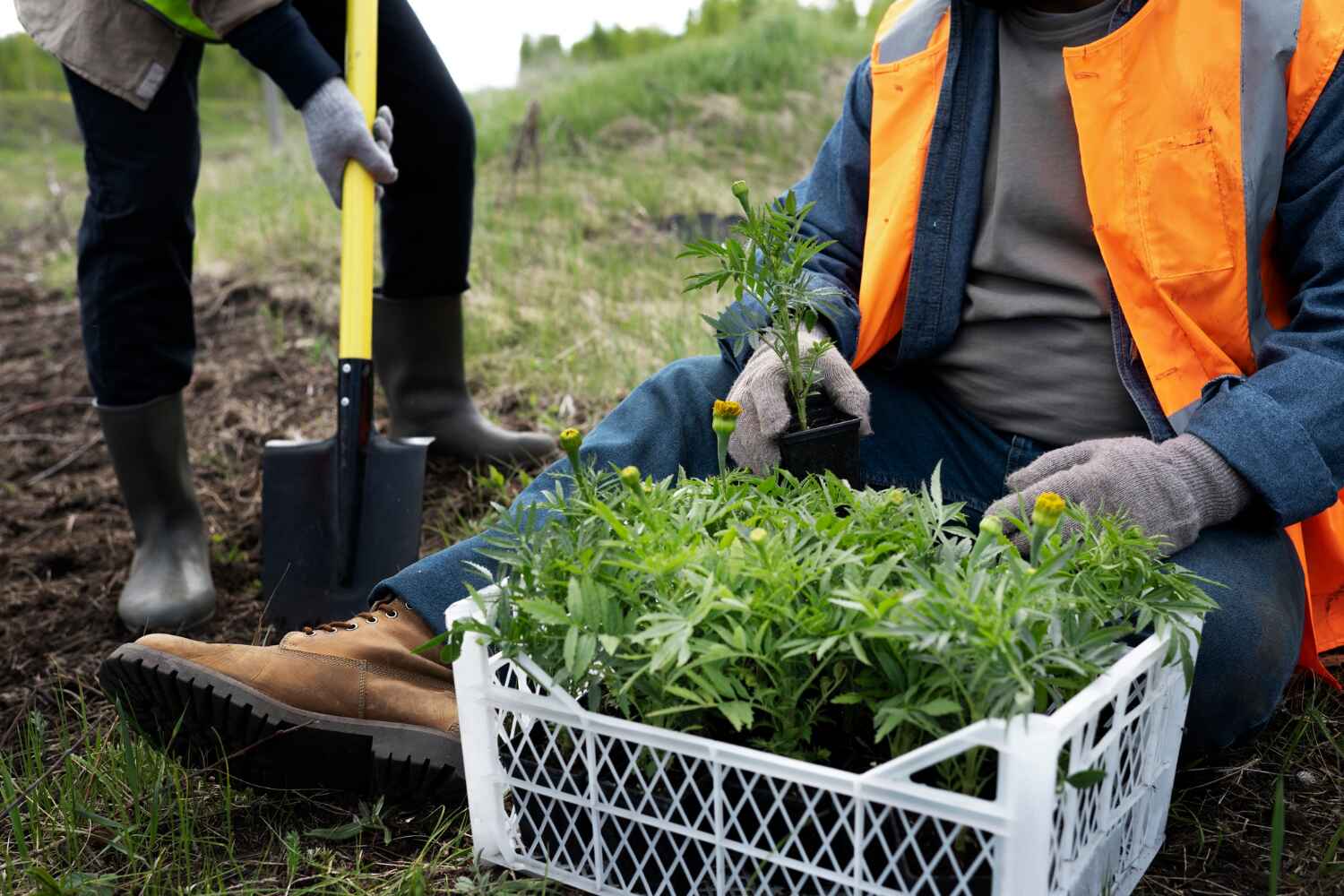 Best Emergency Tree Service  in Apollo Beach, FL